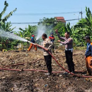 *Hadapi Kemarau, Polres Pelabuhan Tanjungperak Siram Lahan Jagung Ketahanan Pangan*