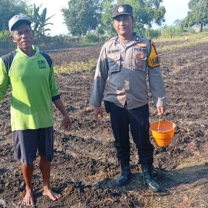 *Polsek Kudu Lakukan Pendampingan Penanaman Benih Jagung Bantuan Dinas Pertanian melalui Polres Jombang*