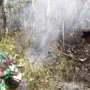 *Respon Cepat Call Center 110 Polres Ngawi, Kebakaran Lahan di Bukit Gogor Sine Berhasil Dipadamkan*
