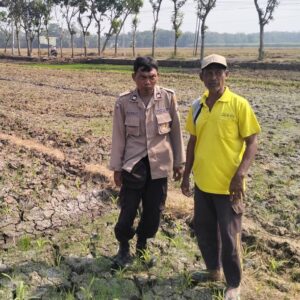 *Bhabinkamtibmas Polres Jombang Dukung Ketahanan Pangan melalui Penanaman Jagung Bersama Petani*