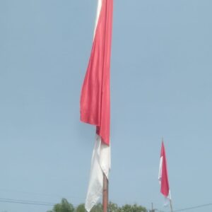 Bendera Raksasa Berkibar di Lapangan Canggon , Diwek ,Jombang , Ini Faktanya