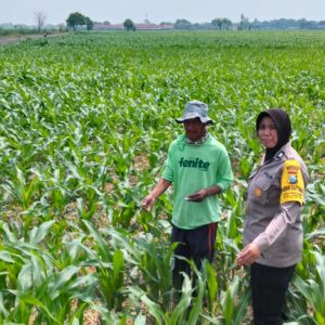 Bhabinkamtibmas Desa Mojongapit Dampingi Petani, Dukung Program Ketahanan Pangan
