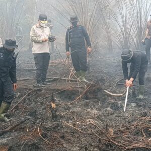 *Karhutla Hanguskan 5 Hektare Lahan di Mamasa, Polisi dan Damkar Berjibaku Padamkan Api*