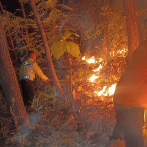 *Sinergi Polsek Bungkal Bersama Tim Gabungan Berhasil Jinakkan Karhutla di Ponorogo*