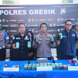 *Polres Gresik Sita 10,8 Kg Ganja di Gudang Ekspedisi*