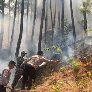 *Polres Ponorogo dan Tim Gabungan Tembus Medan Curam Lereng Gunung Limas Padamkan Api Karhutla*