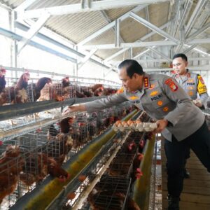 *Polda Metro Jaya Jadi Contoh Penguatan Rantai Pasok MBG, Polri Dorong Jajaran Kembangkan Potensi Pangan Lokal*