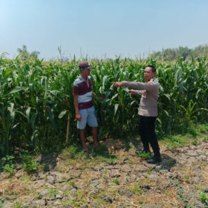 *Polsek Ngusikan Berkolaborasi dengan Petani Wujudkan Ketahanan Pangan*