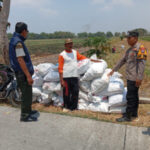 Kanit Binmas Laksanakan Pembinaan kepada Petani Jagung, Dukung Ketahanan Pangan Nasional