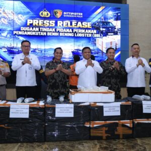 *Polri Ungkap Jaringan Penyelundupan Baby Lobster Lintas Negara, Dua Pelaku Ditangkap*